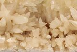 Dogtooth Spar Calcite Crystal Cluster - China #205505-2
